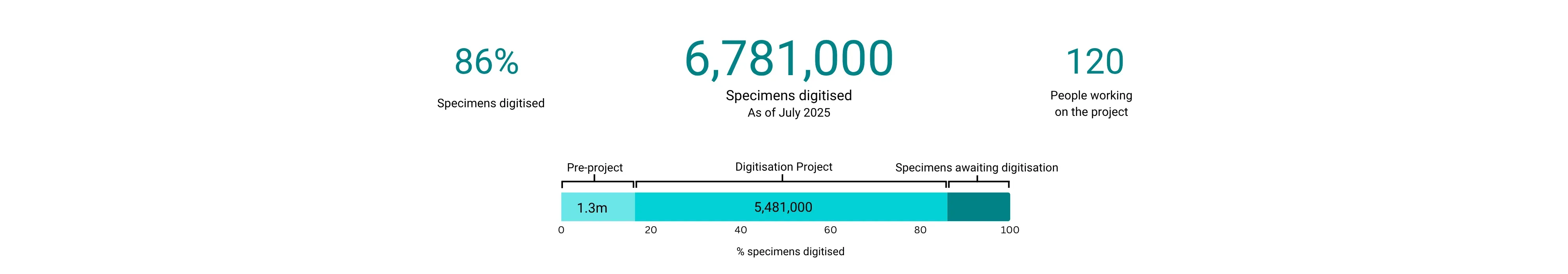 Graphic showing the Digitisation Project numbers to date Graphic showing the Digitisation Project numbers to date