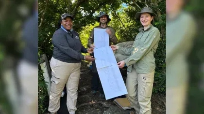 British Virgin Islands' plant tree of life