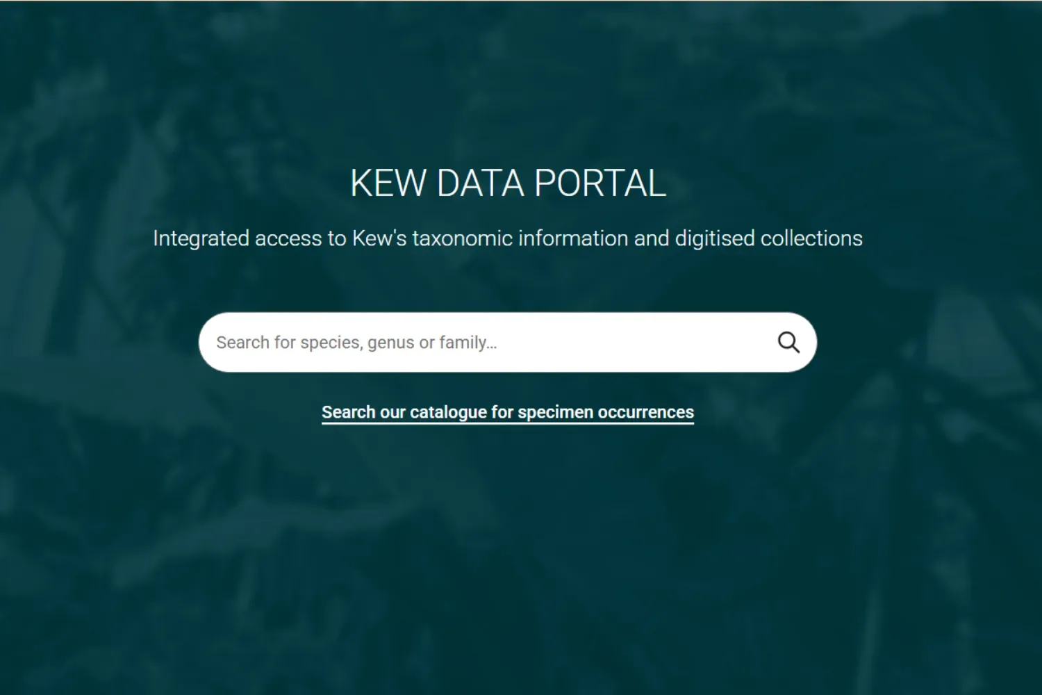 Kew Data Portal – Search Kew’s taxonomic and digitised collections Screenshot of the Kew Data Portal homepage featuring a search bar for species, genus, or family.