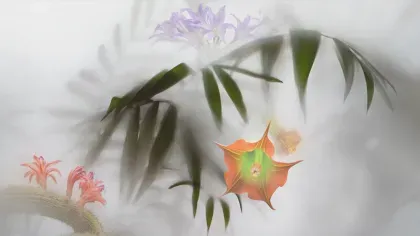 Rare and Extinct © RBG Kew