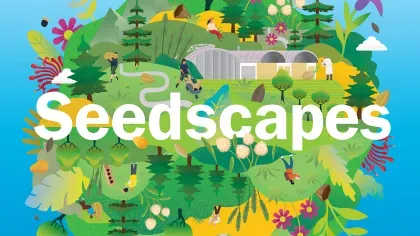 Seedscapes