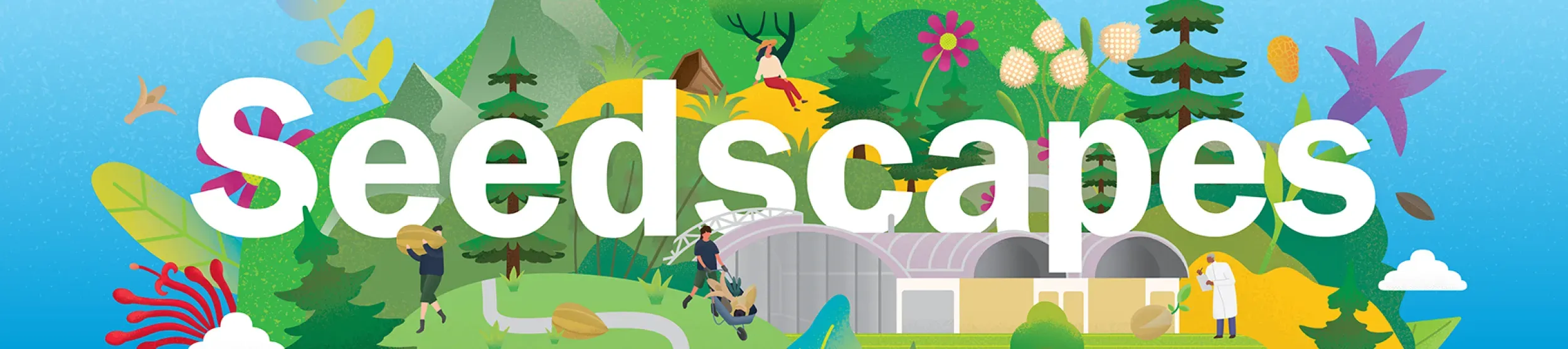 Seedscapes