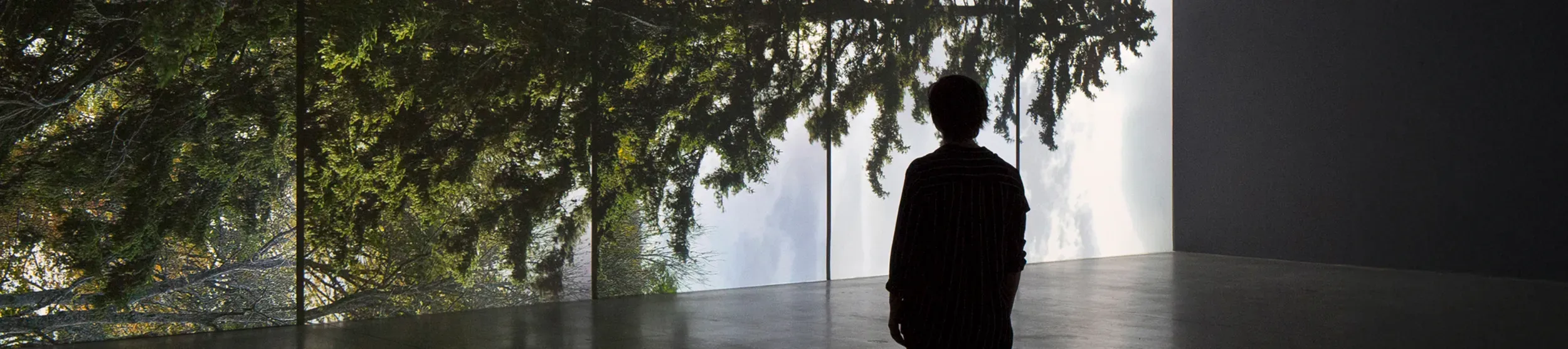 The Power of Trees, Eija-Liisa Ahtila A person viewing a large-scale projection of a tree