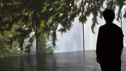 The Power of Trees, Eija-Liisa Ahtila