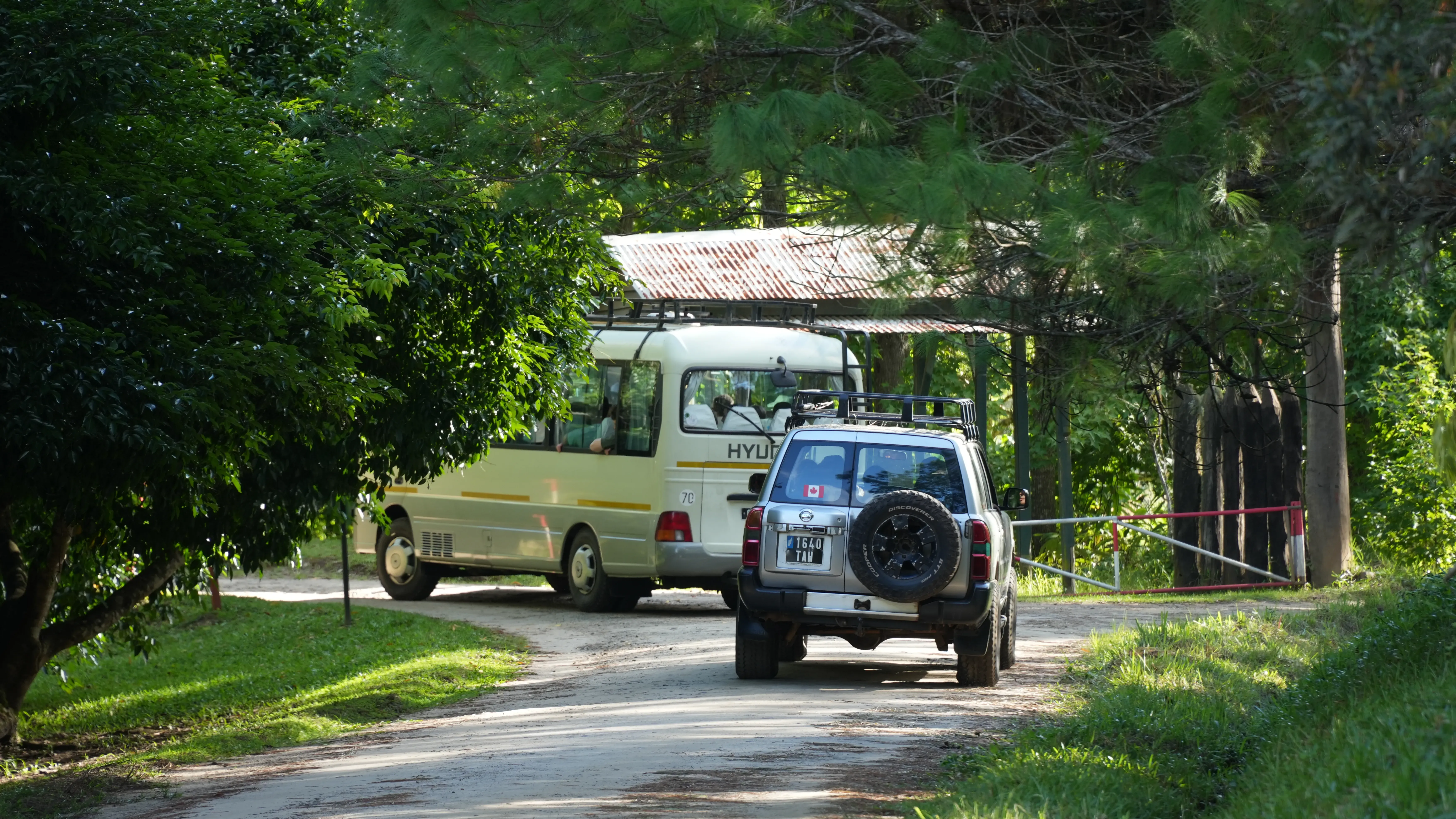 The students on their way to the field on the bus and jeep. © Duyu Wang A bus and car on a road in a forest