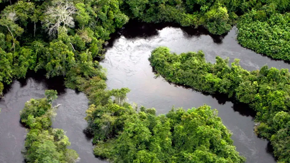 Amazon rainforest © Wikimedia Commons.