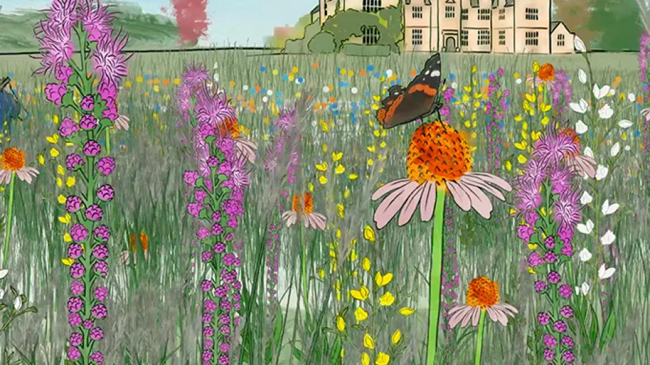 American Prairie animation © RBG Kew