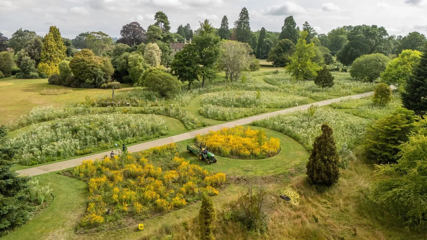 American Prairie, Visual Air © RBG Kew A birds-eye view of Wakehurst's American prairie, with a path going through the middle.