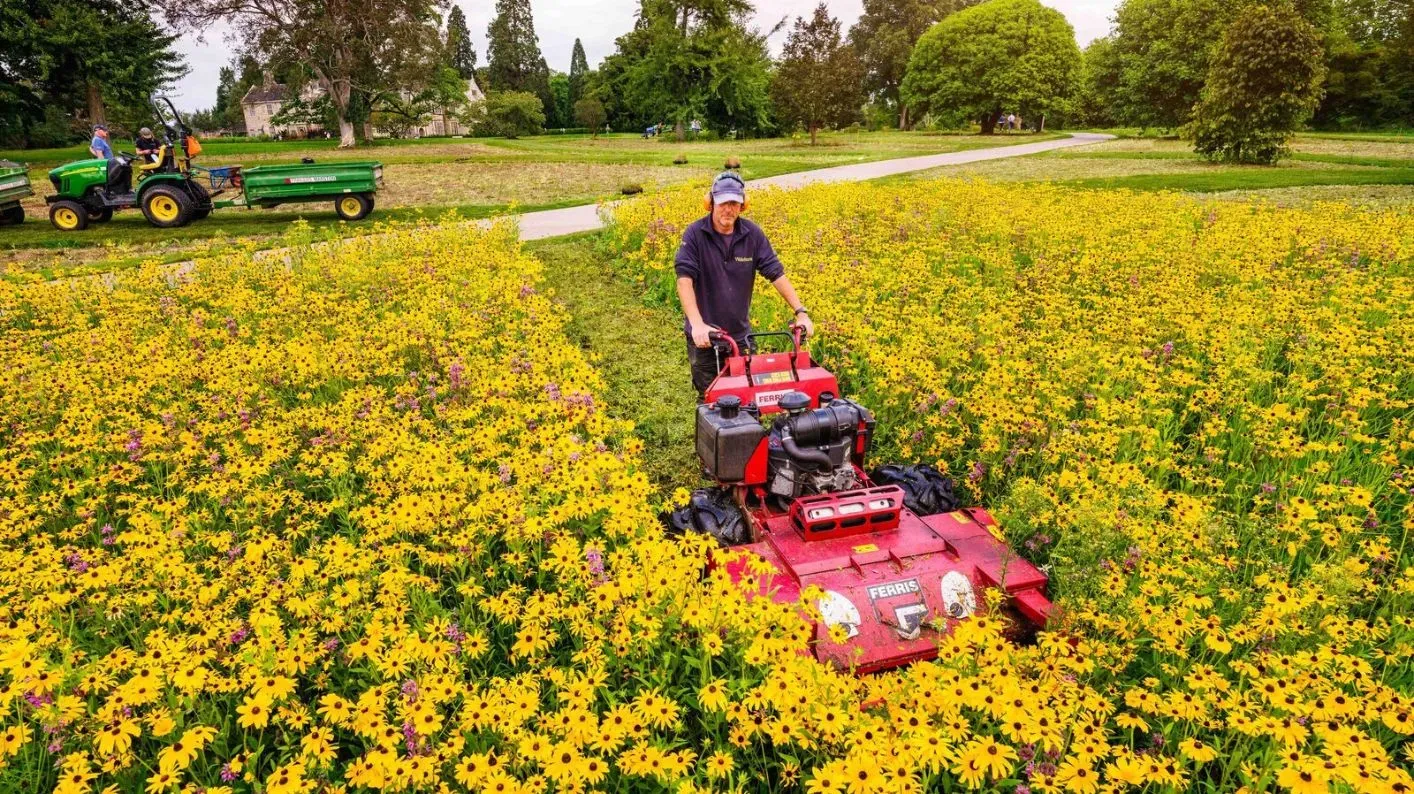 Mowing the prairie, Jim Holden © RBG Kew A horticulturist mowing yellow rudbeckia flowers on the American Prairie