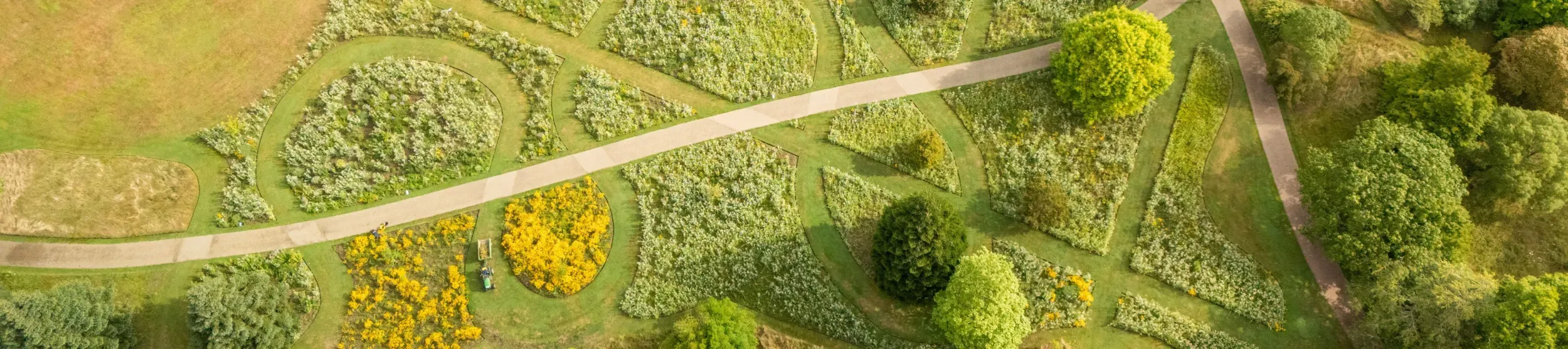 American Prairie, Visual Air © RBG Kew A birds-eye view of Wakehurst's American prairie, with a path going through the middle.