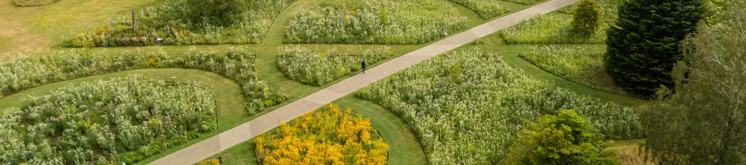 American Prairie, Visual Air © RBG Kew A birds-eye view of Wakehurst's American prairie, with a path going through the middle.