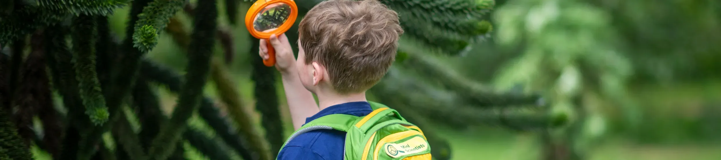 Explorer backpacks © RBG Kew A child wearing a colourful backpack investigating a monkey puzzle tree with a magnifying glass