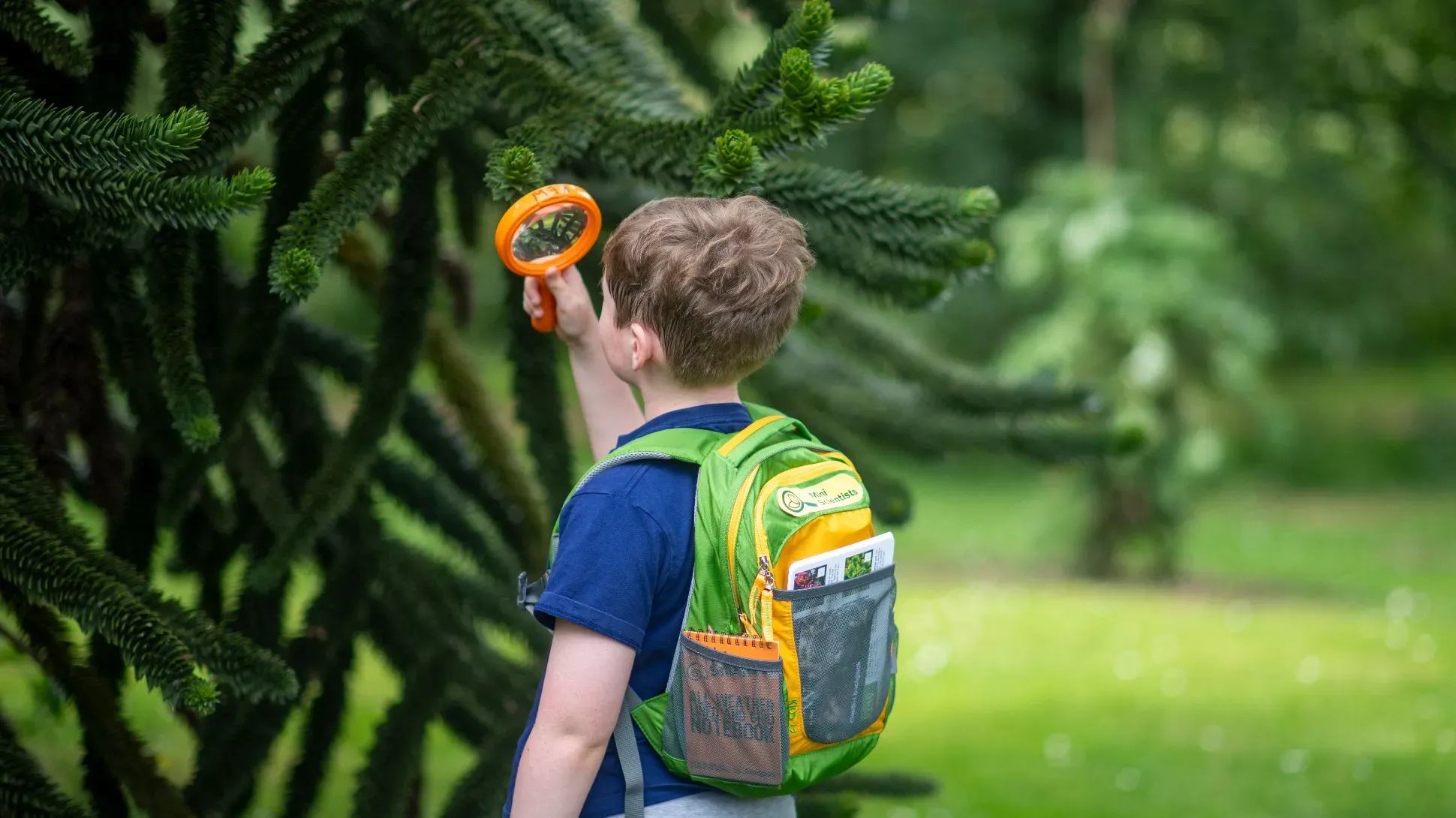 Explorer backpacks © RBG Kew A child wearing a colourful backpack investigating a monkey puzzle tree with a magnifying glass