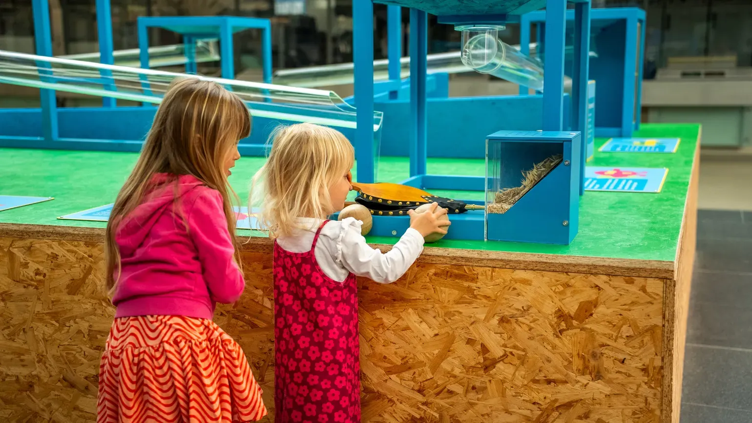 Nature Heroes: Bank a Seed Bank a seed activity in the Millennium Seed Bank