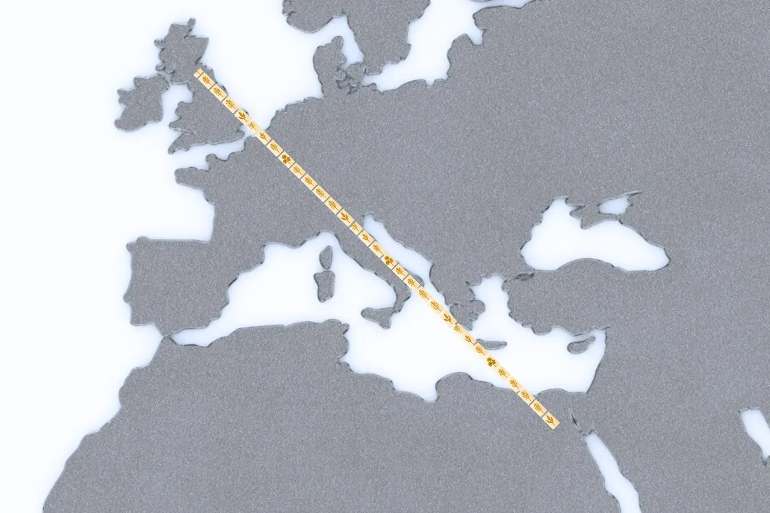 Kew’s 7.5 million specimens would stretch from Edinburgh to Cairo if placed end-to-end. Map of Europe and North Africa with a line stretching diagonally from Edinburgh to Cairo, symbolizing the combined length of Kew's 7.5 million herbarium and fungarium specimens if laid end-to-end.