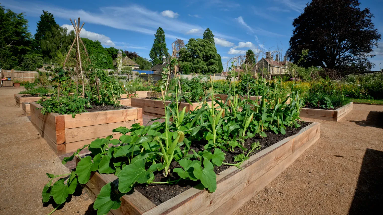 Children's and Community Garden Gallery image 2