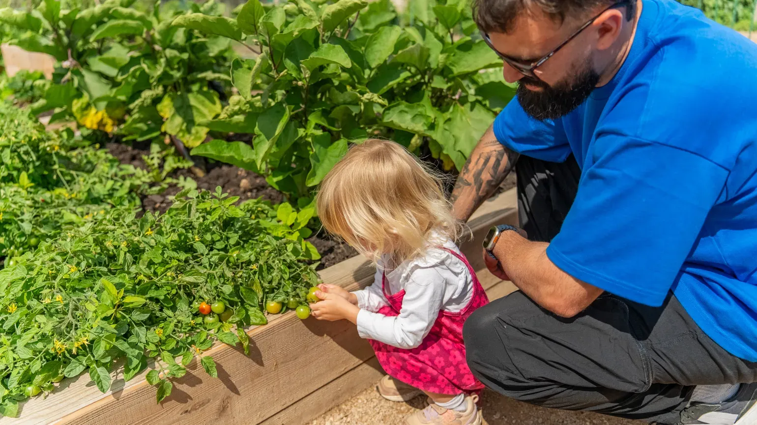 Children's and Community Garden Gallery image 3