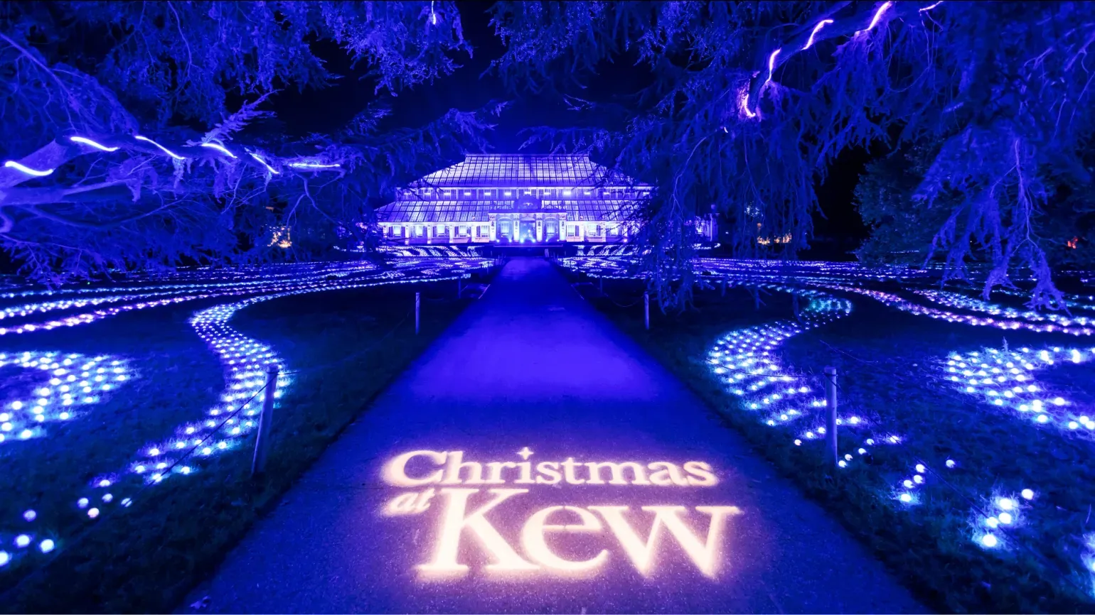Christmas at Kew 2025 Christmas at Kew 2025