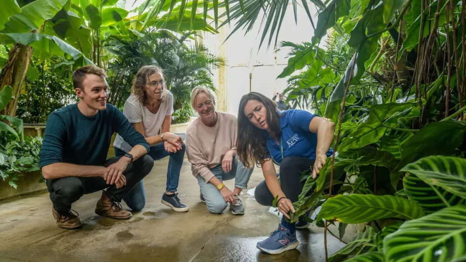 CPD Teacher Training in the Palm House © RBG Kew