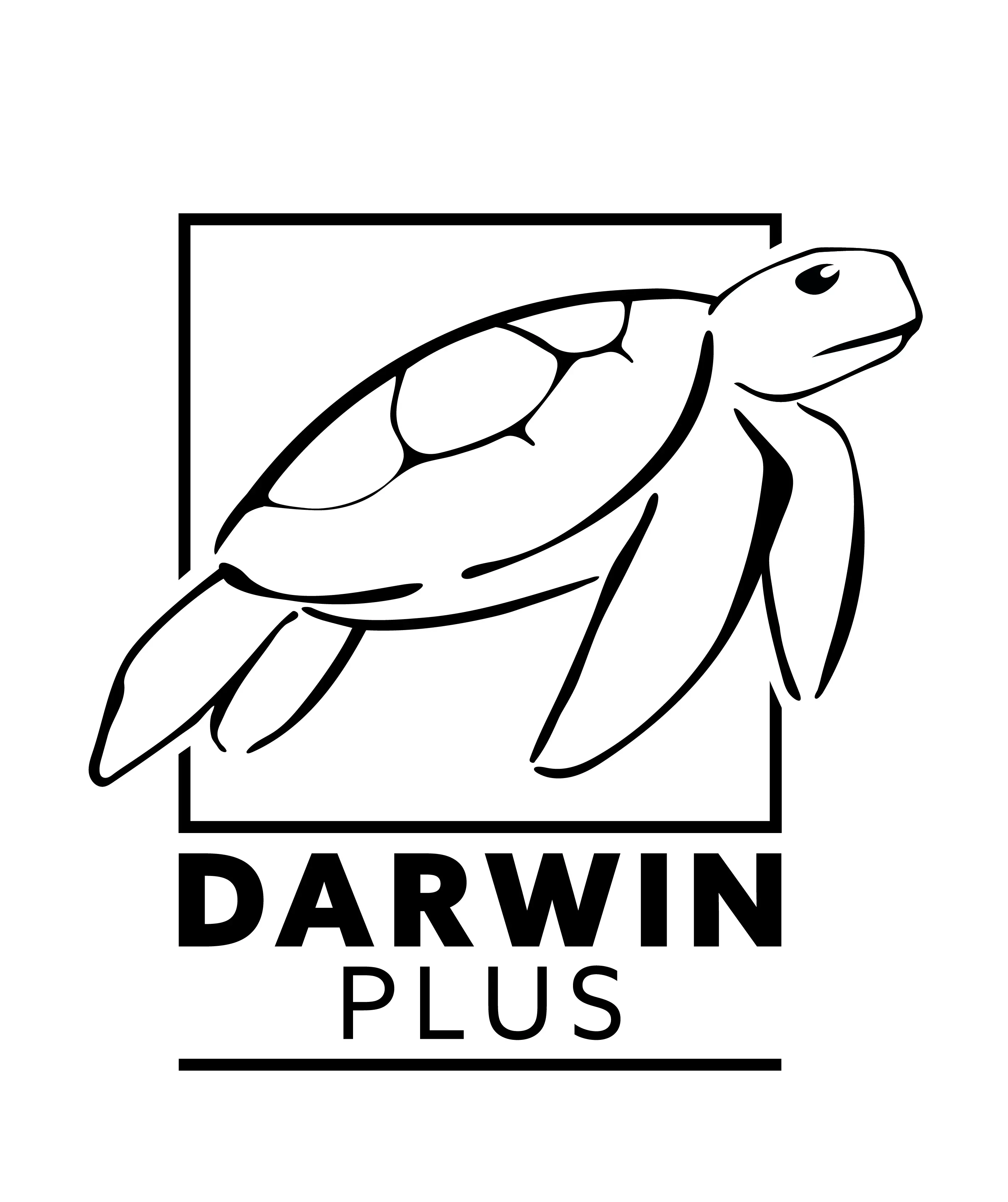 The Darwin Plus logo consists of a turtle and the organisational name