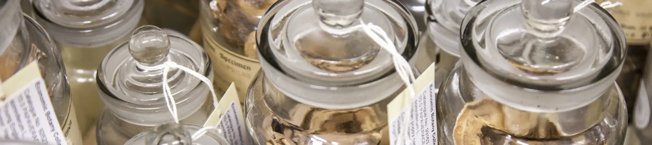 Economic Botany Collection jars, RBG Kew/Steve Lancefield Economic Botany Collection jars