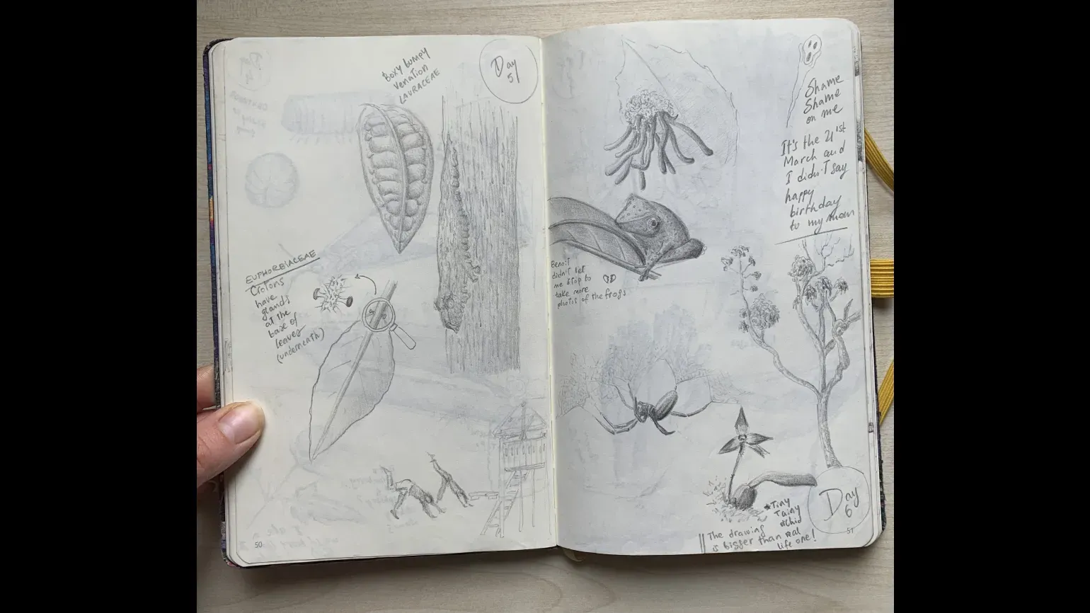 Days 5 & 6, pencil sketches © Gaia Caravella An open sketchbook with pencil drawings of plants, animals, insects, and people, and handwritten notes
