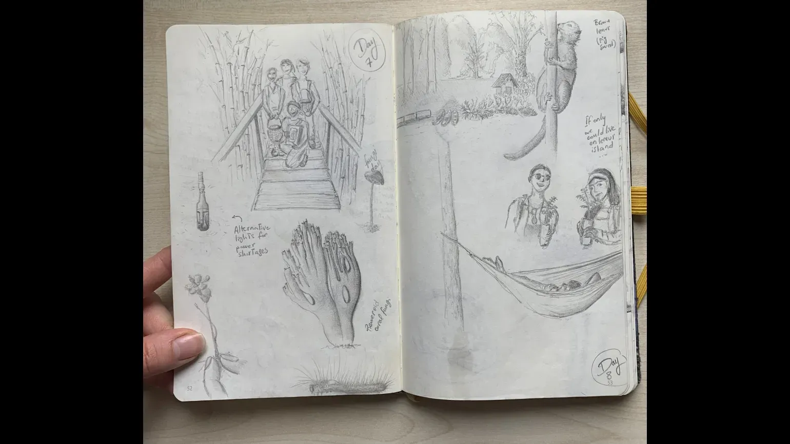 Days 7 & 8, pencil sketches © Gaia Caravella An open sketchbook with pencil drawings of people, fungi, plants and a lemur