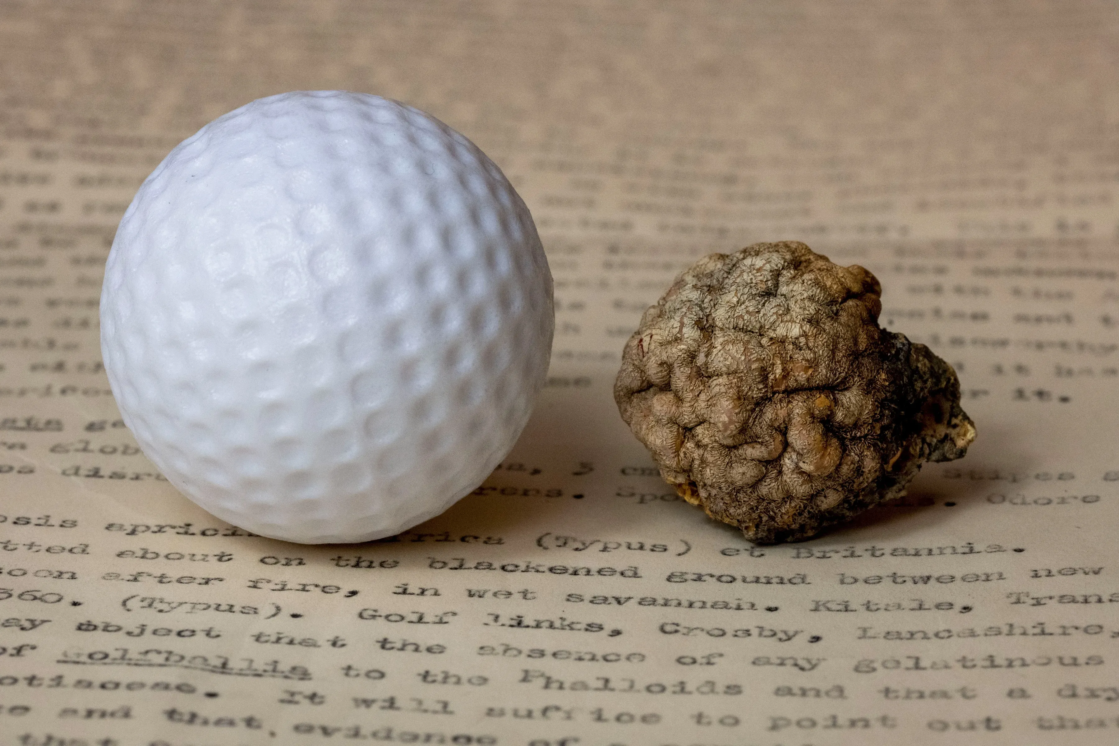 Side-by-side comparison of an unburnt golf ball and a burnt golf ball Side by side comparison of an unburnt golf ball and a burnt golf ball