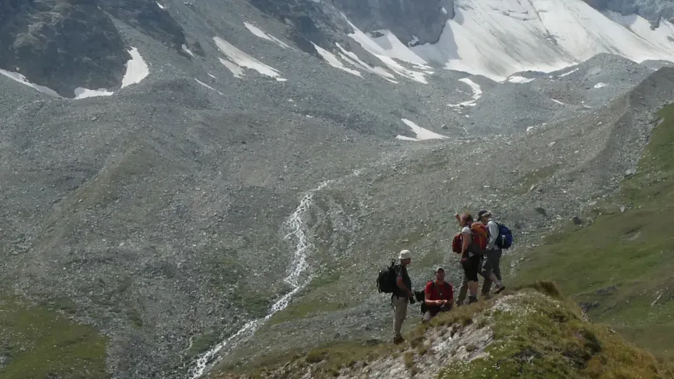 Seed collecting in Switzerland © Catherine-Lambelet.