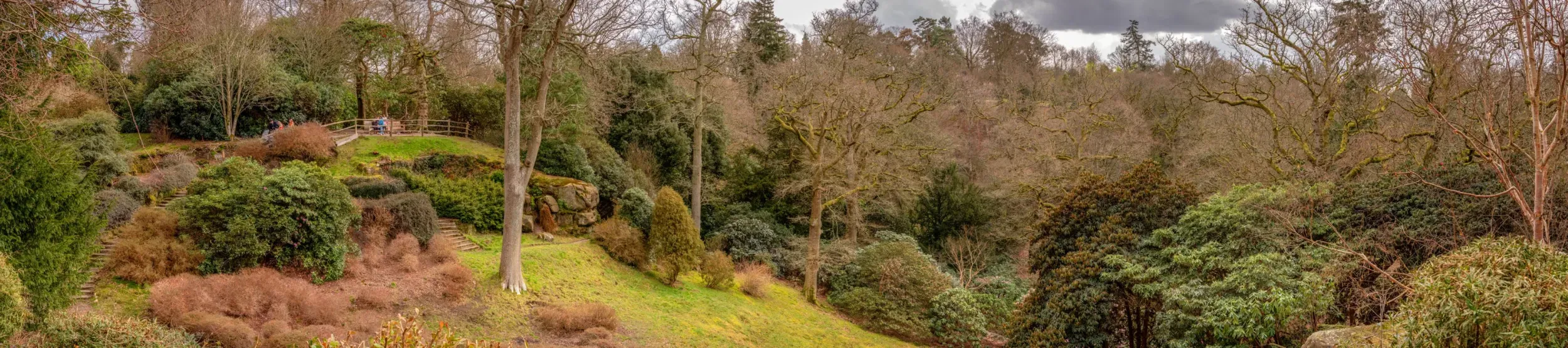 Himalayan Glade at Wakehurst © RBG Kew A valley with many trees, rocks and plants