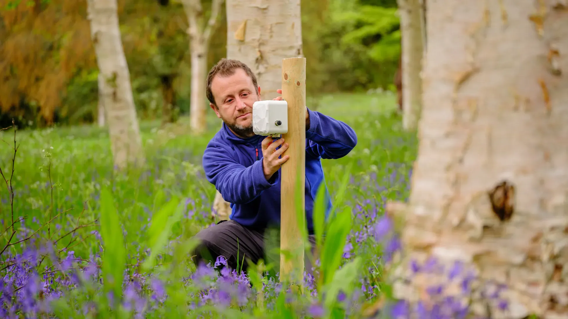 Hydrology research, Jim Holden © RBG Kew A scientist fixes a sensor on a pole, in a field of bluebells.