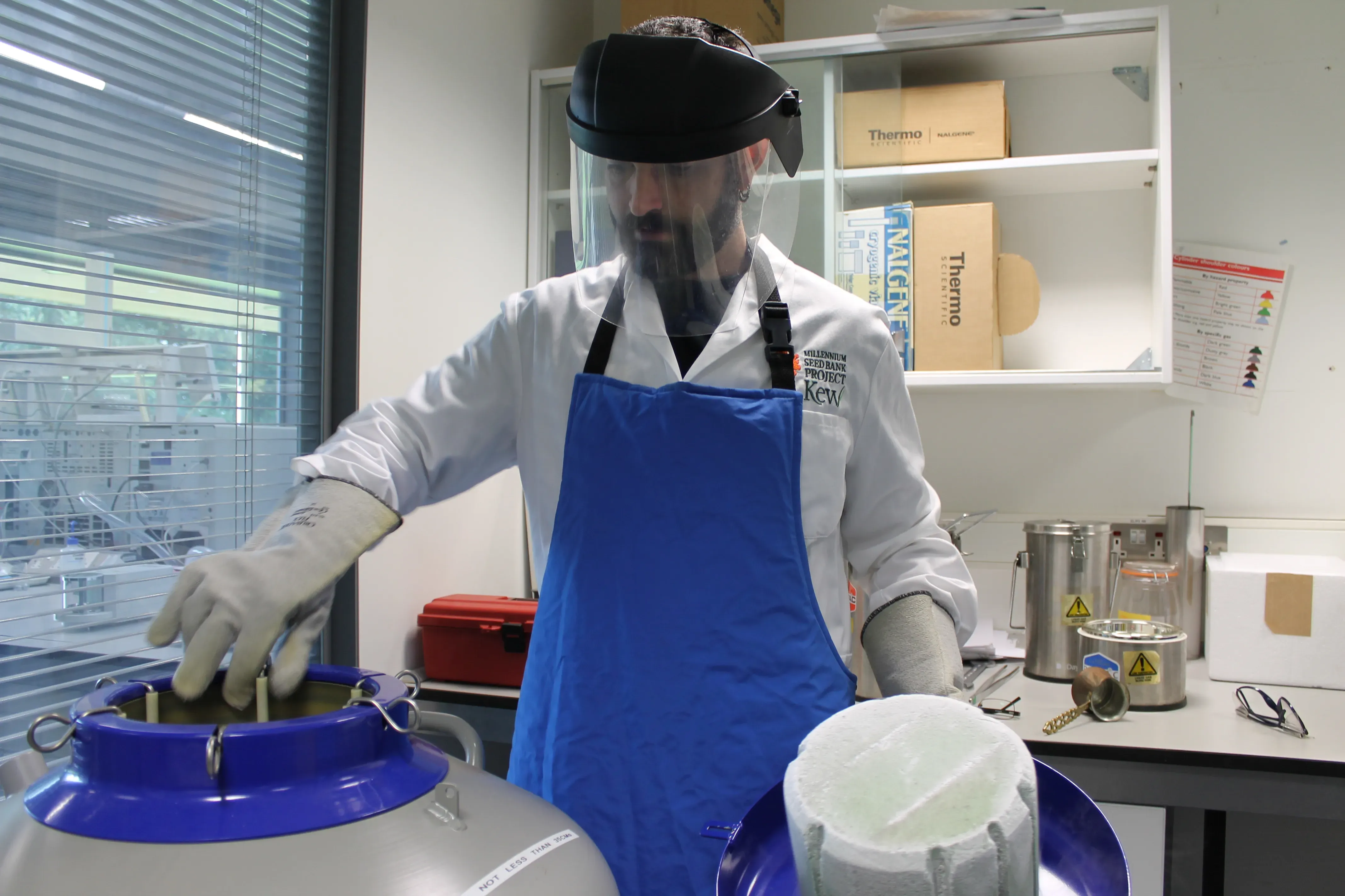 Kew scientist storing seeds in liquid nitrogen © RBG Kew Kew scientist storing seeds in liquid nitrogen