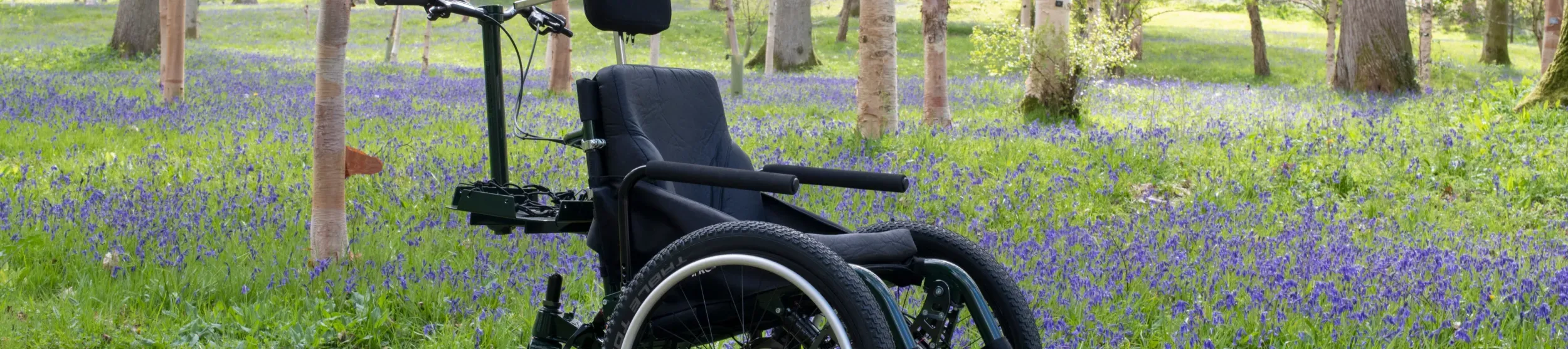 All terrain wheelchair in Bethlehem Wood at Wakehurst, Jeff Eden © RBG Kew Wheelchair in a woodland