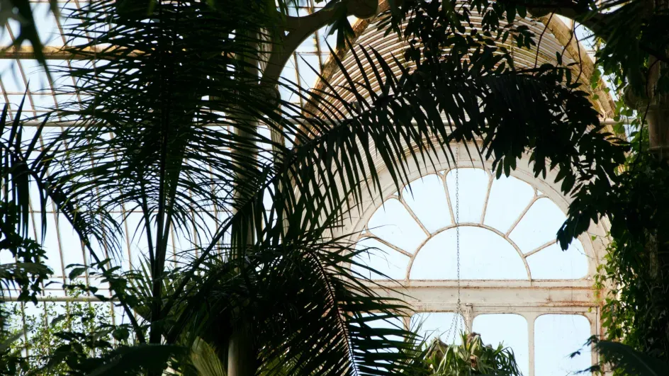 Palm House © RBG Kew