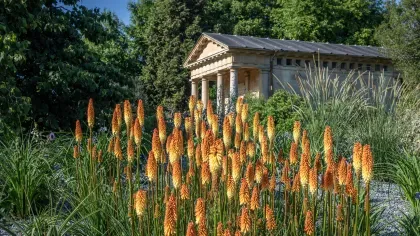 Mediterranean garden