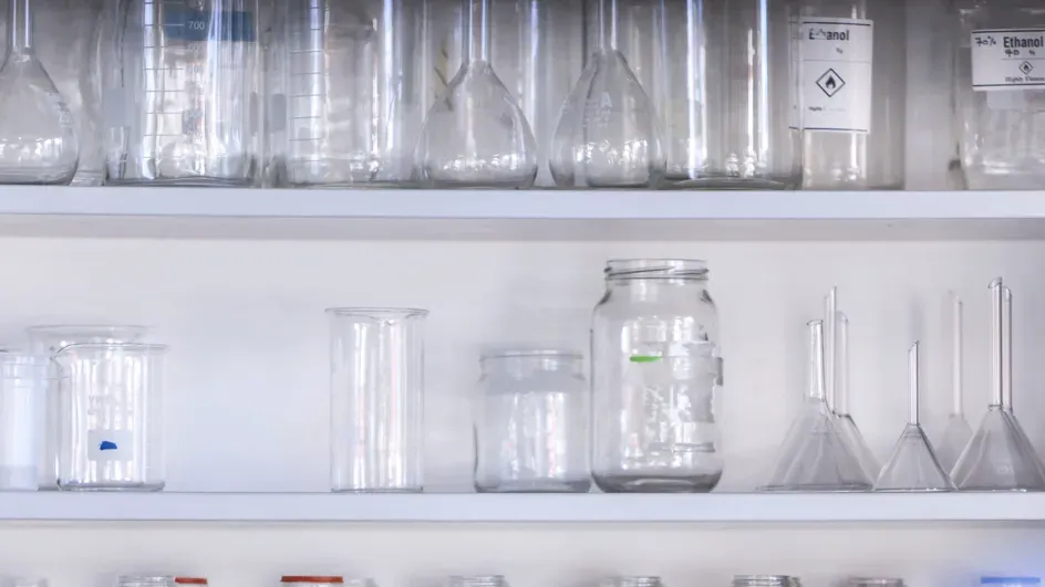 Flasks in the Jodrell lab © RBG Kew.