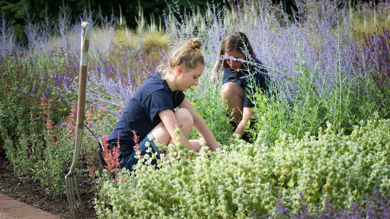 Horticulturists apprentices at Kew Two horticulturists apprentices working in the gardens at Kew
