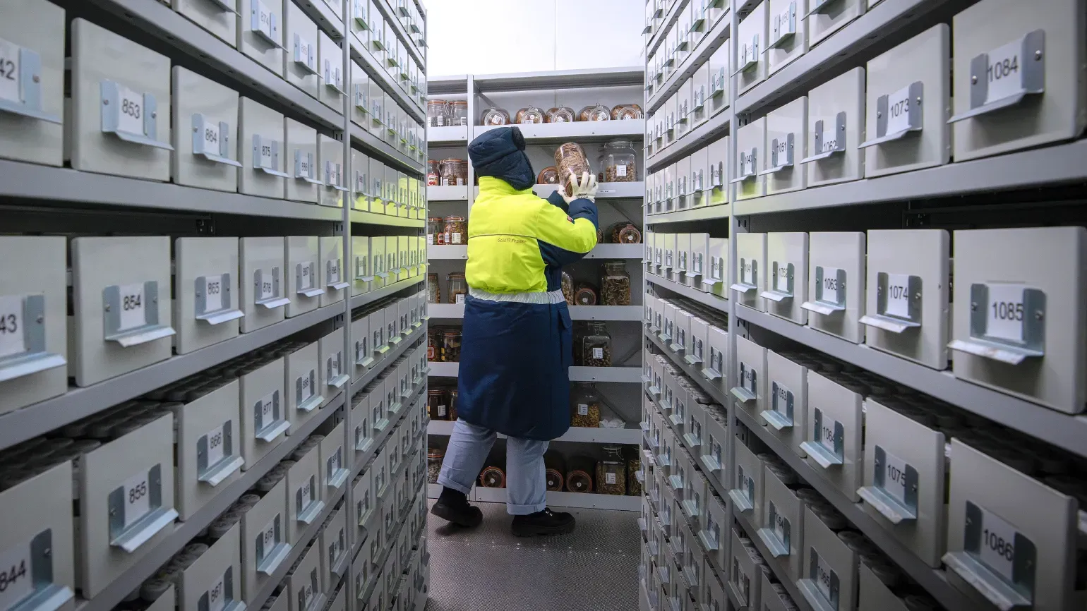 Millennium Seed Bank at Wakehurst A scientist in the vaults at the Millennium Seed Bank