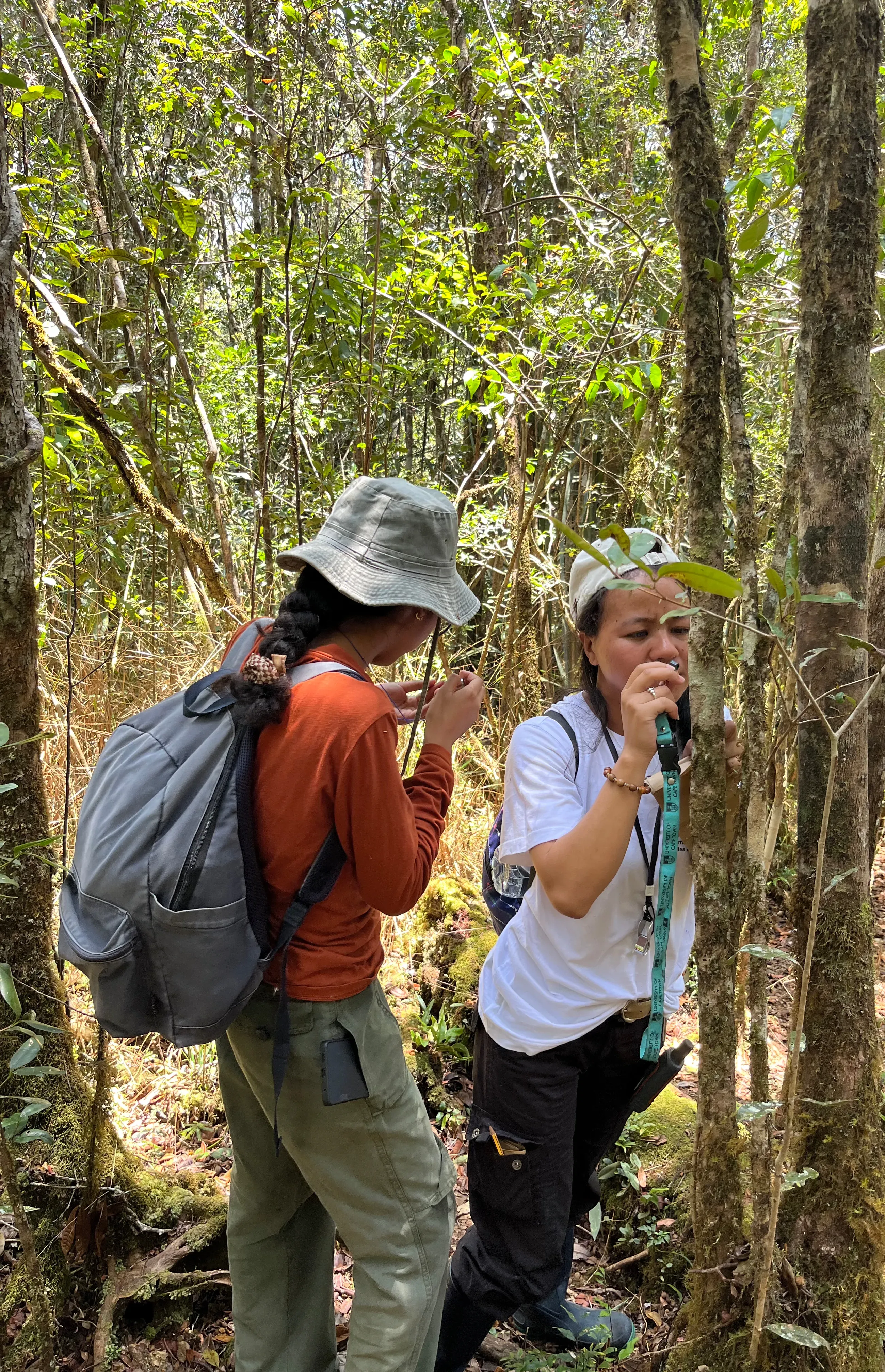 Lolie (left) and Onja (right) during their bryophyte collection training in Andasibe National Park. Lova Marline. Two people in a forest