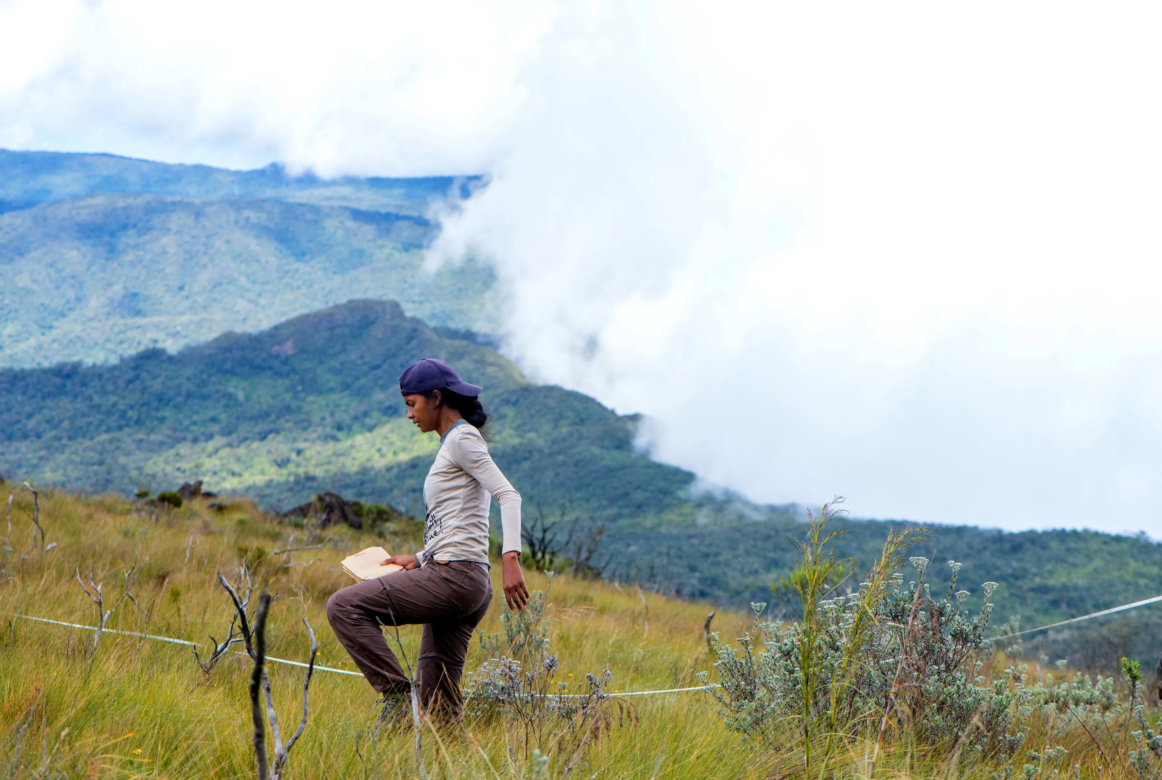 Lova in Tsaratanana national park, Madagascar. © Benny Rice. Lova walking through tall grass with a mountain scene in the background