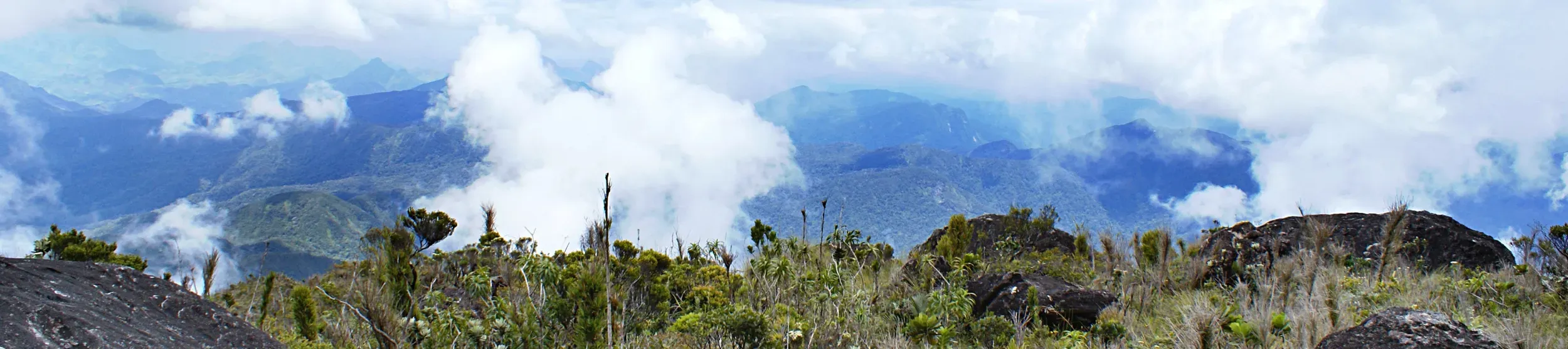 Marojejy national park, Madagascar. © Lova Marline. Mountain landscape taken from a mountaintop above the cloud layer, with plants in the foreground