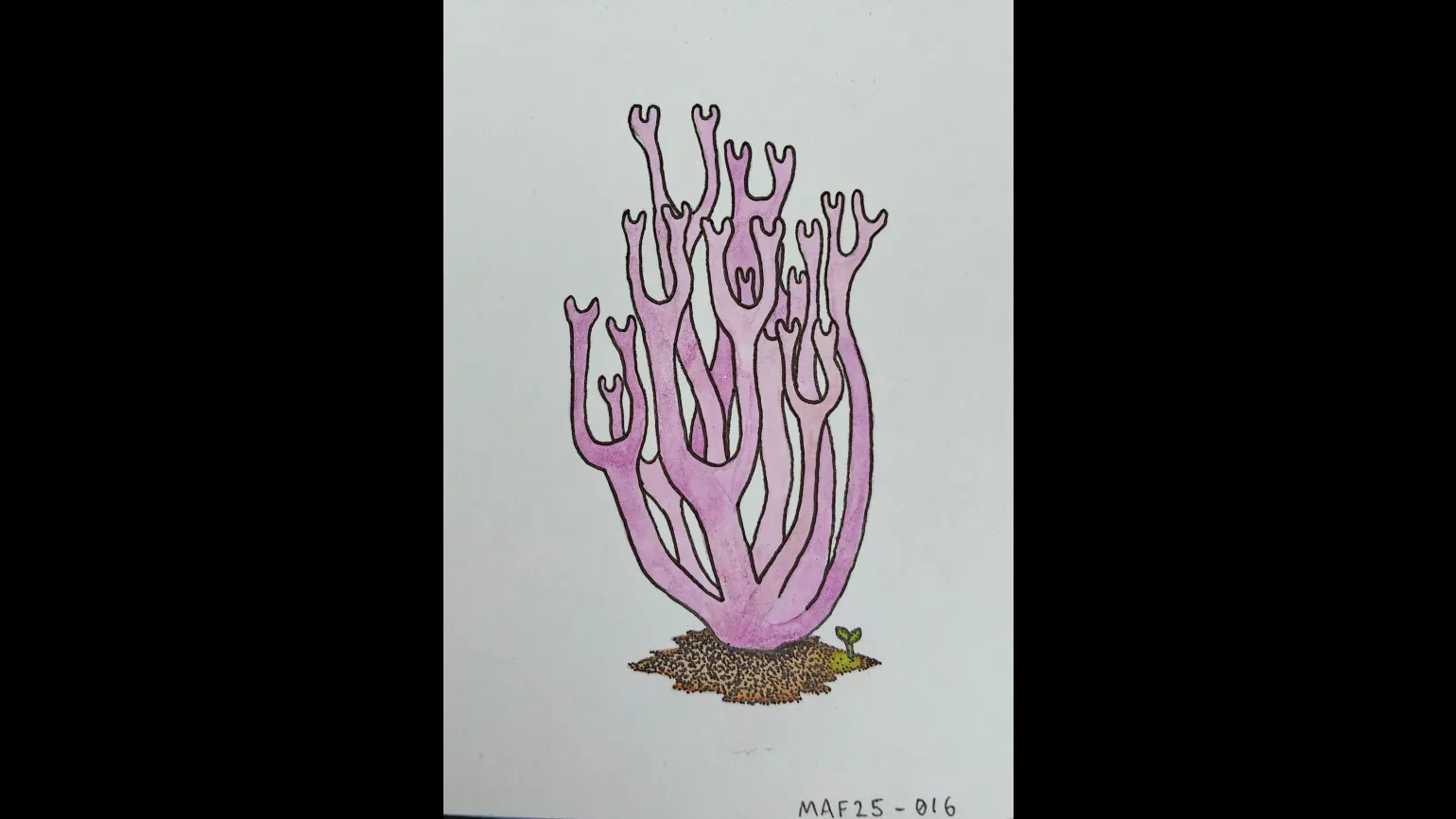 Purple coral fungus, watercolour and ink © Max Ticehurst A watercolour painting of a purple coral fungus