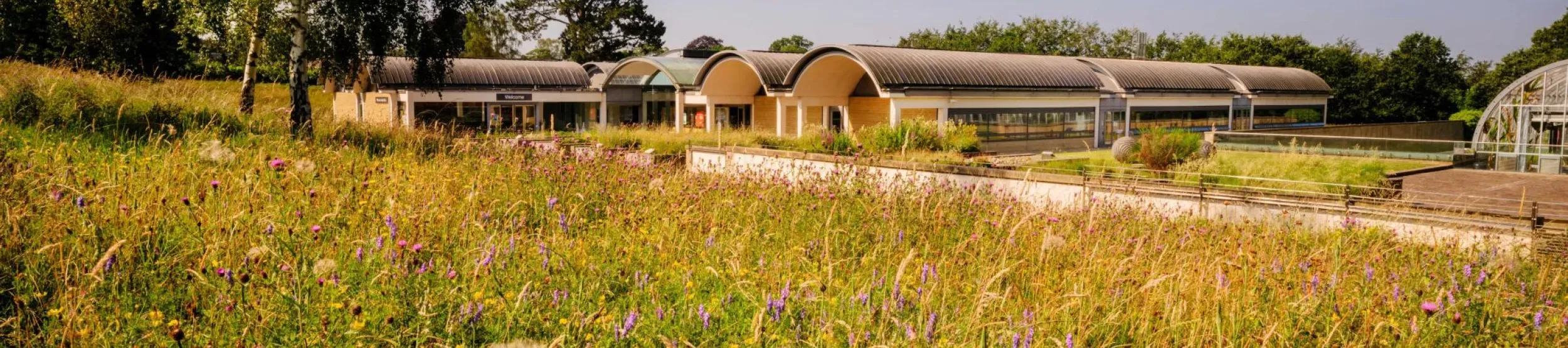 Millennium Seed Bank Meadow at Wakehurst, Jim Holden © RBG Kew Millennium Seed Bank in summer with meadow flowers