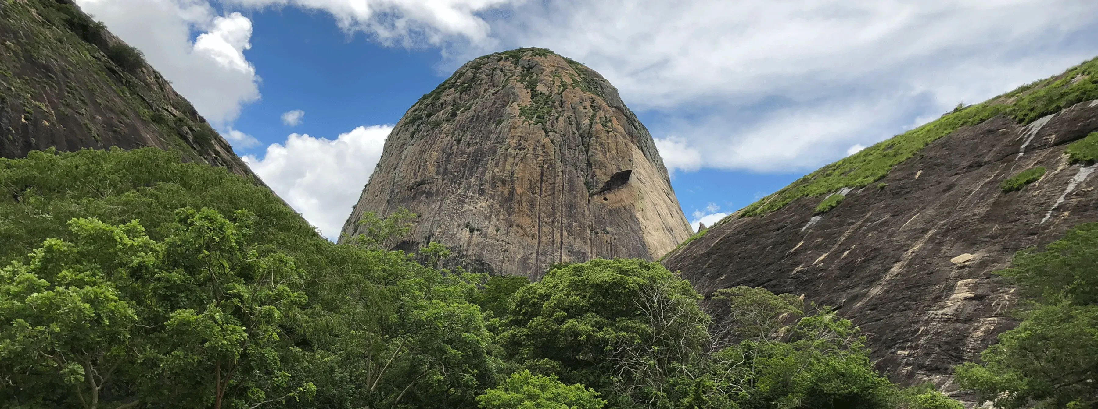 Ribaue Mountains Mozambique. (C) RBG Kew. Mountain in Mozambique