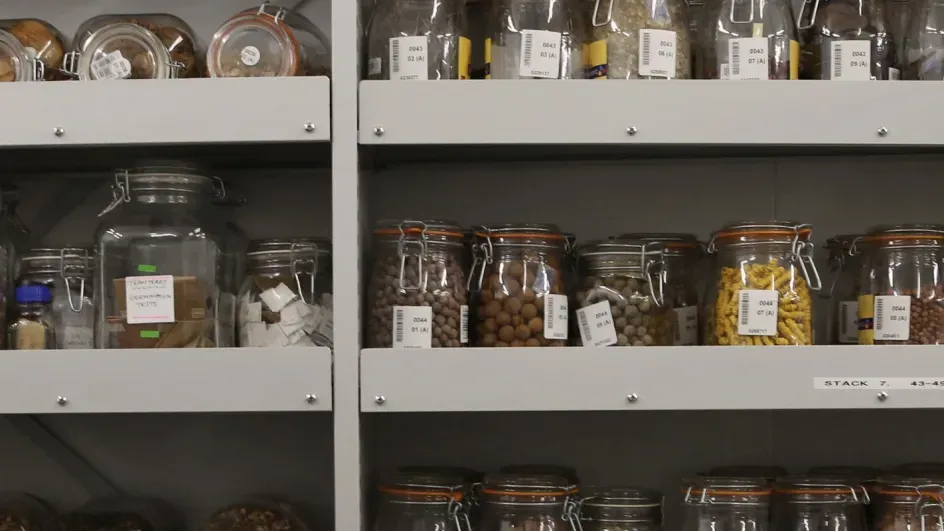 Seeds in the Millennium Seed Bank vaults © Luis Salazar/RBG Kew