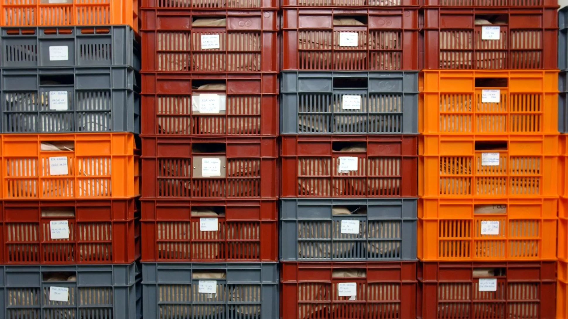 The drying room at the Millennium Seed Bank at Wakehurst © RBG Kew Many orange and red plastic crates stacked on top of each other