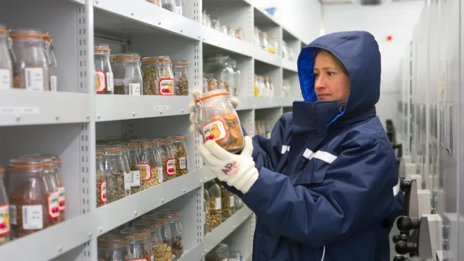 Kew scientist in the vaults of the Millennium Seed Bank © RBG Kew