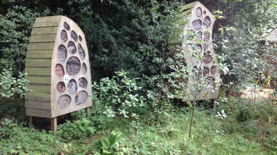 A bug hotel at Kew