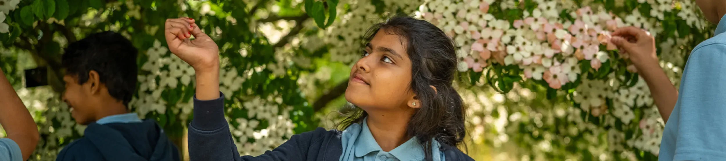 Nature Connectedness research, Visual Air © RBG Kew A group of school children look at the branches of a tree