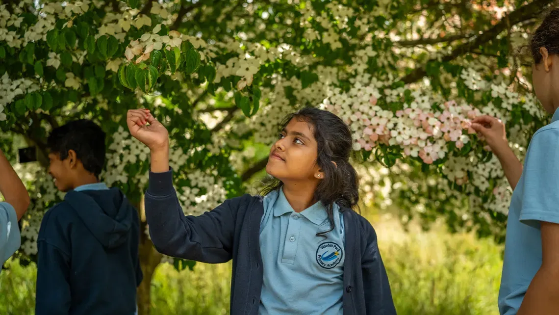 Nature Connectedness research, Visual Air © RBG Kew